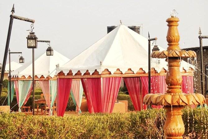 Deluxe Desert Experience & Cultural Night - Inclusions and Amenities