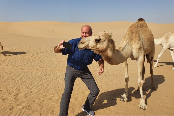 Desert Safari BBQ Dinner, Camel Ride & Sandboarding From Dubai - Adventure Activities Included