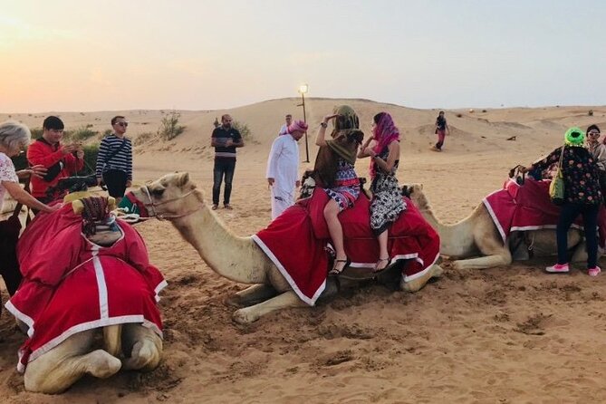 Desert Safari Dubai With BBQ Dinner and Belly Dance - BBQ Dinner Highlights