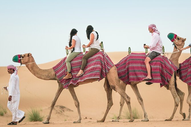Desert Safari Qatar - Meeting and Pickup Options