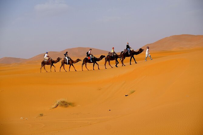 Desert Safari With BBQ Dinner From Dubai - Dining Experience