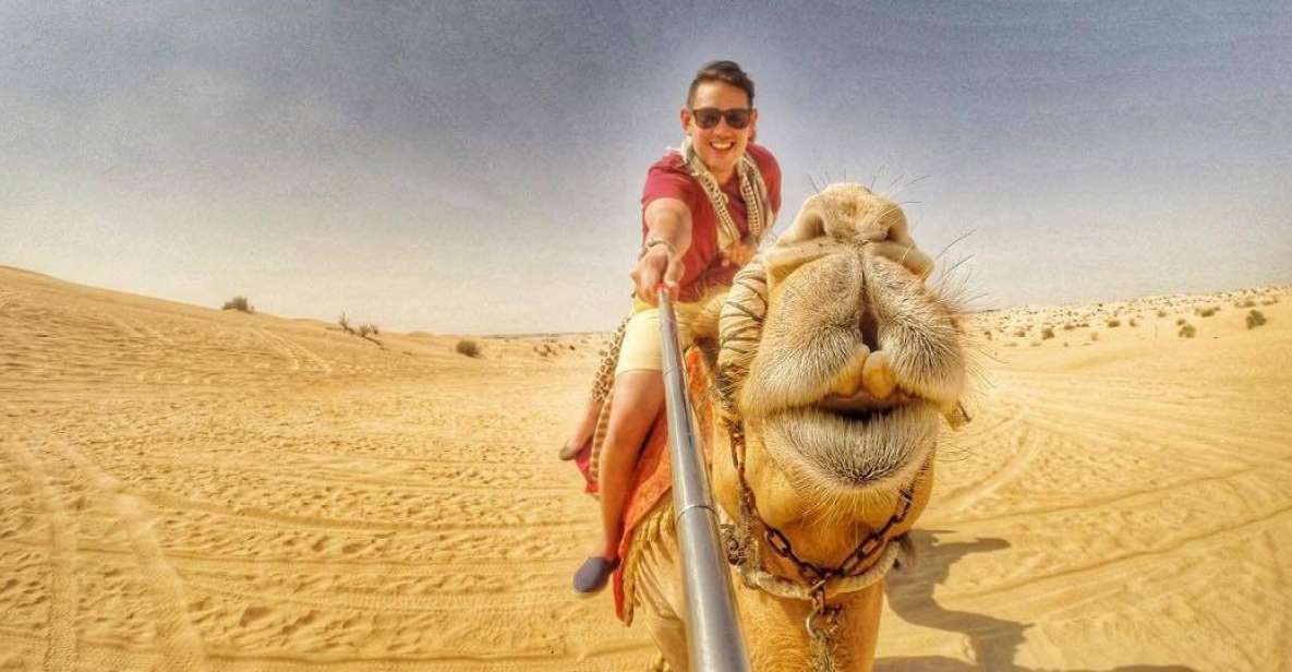 Desert Sunset Quad Biking Safari, Dinner, Camel Ride - Itinerary Highlights