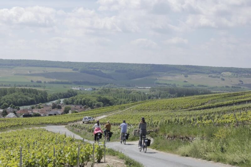 Dijon/Beaune: Full Day Ebike Burgundy Tour, Tastings & Lunch - Important Information