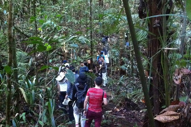 Dinner and Overnight in the Jungle in Manaus - Tour Schedule and Policies