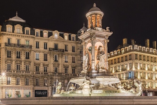 Discorver Lyon in a Private Tour With Your Driver - Accessibility and Participation