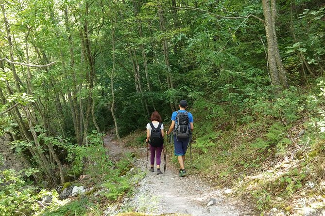 Discover Olympus & Dion: Private Day Trip From Thessaloniki - Pickup and Transportation Details