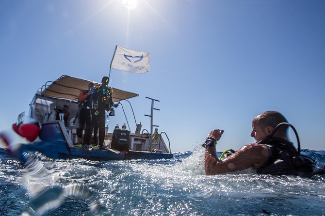 Discover Scuba Diving (Dsd Course) - Scuba World Divers - Memorable Underwater Experiences