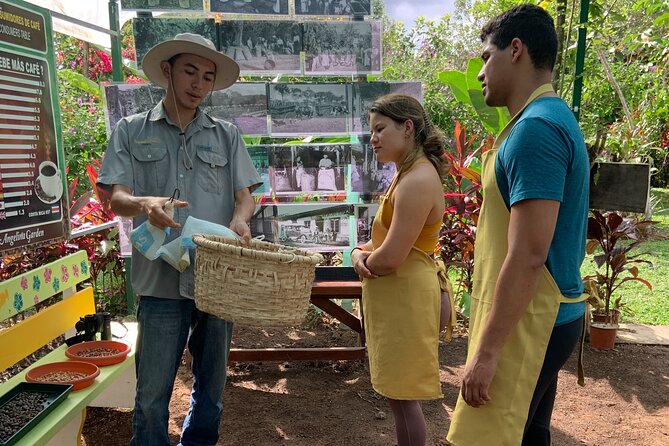 Discover the Costa Rican Essence Coffee, Chocolate and Honey - Highlights of the Tour