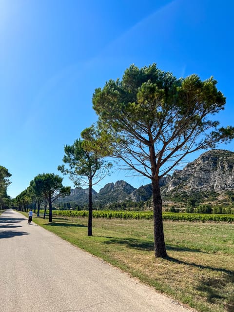 Discover the Massif Des Alpilles by Bike - Tour Locations and Activities