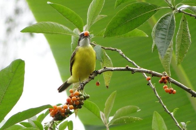 Discovering The World of Birds - Equipment and Accommodation