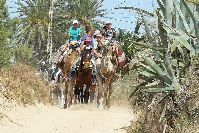 Discovery Ride on Horseback or Camel 2h30 - Customer Ratings