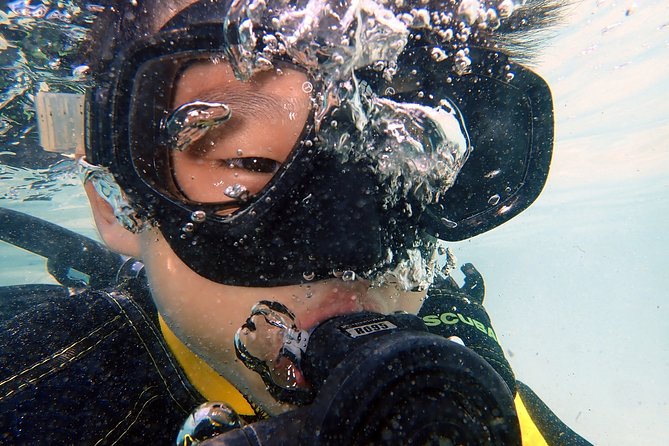 DiveGurus -Scuba Diving for Kids(Ages 6-11yrs) - Educational Benefits of Diving