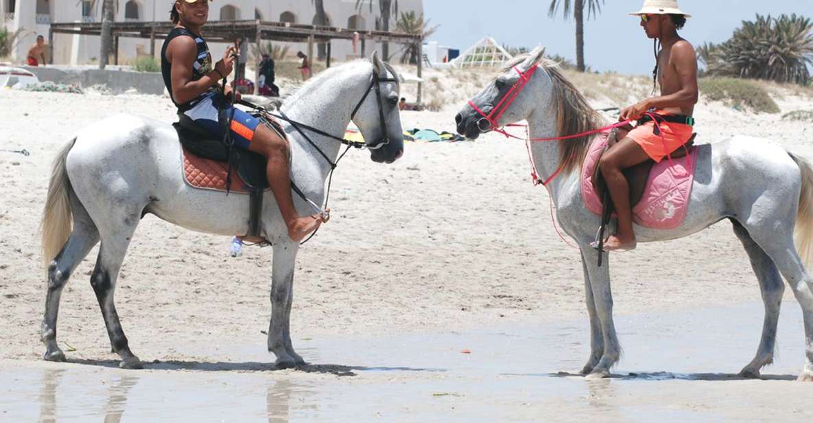 Djerba: Guided Horseback Riding Tour - Experience Highlights