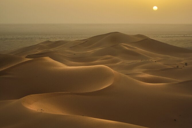 Doha Golden Dune Safari | Dune Bashing| Sandboarding| Inland Sea - Customer Reviews and Feedback
