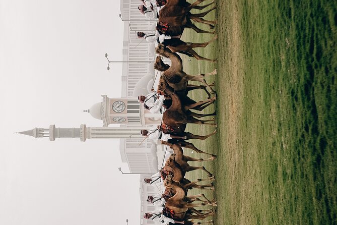 Doha Private City Tour - Important Information to Note