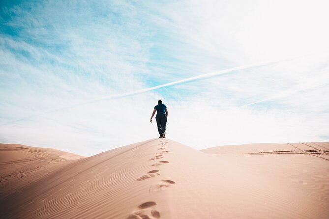 Doha Private Half-Day Guided Desert Safari Tour - Customer Reviews and Ratings