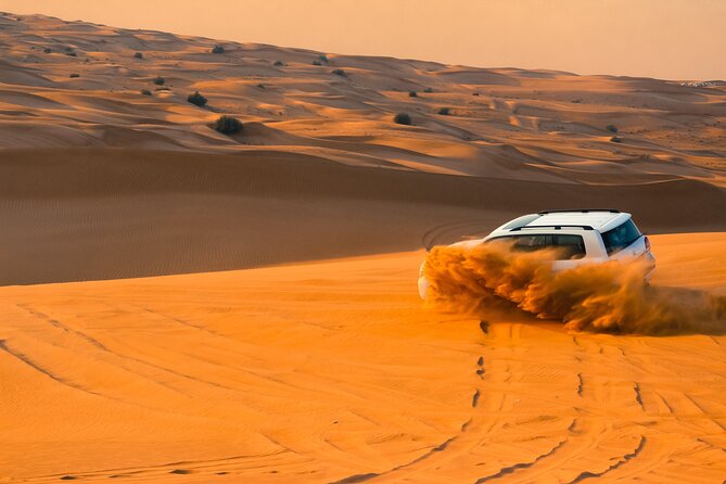 Doha: Quadbike, Dune Bashing, Camel Ride, Inland Sea Visit - Unique Camel Riding Experience