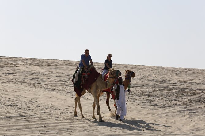 Doha; Sunrise Desert Tour and Camel Safari 4hrs - Operating Hours