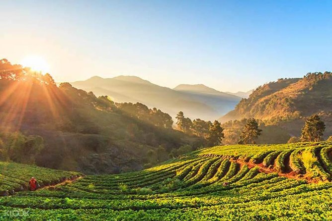 Doi Inthanon Day Trip From Chiang Mai Including Karen Hill Tribe & Twin Pagodas - Karen Hill Tribe Visit