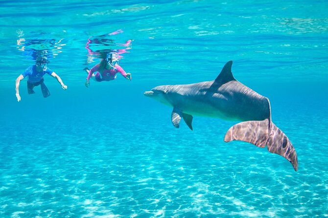 Dolphin House By Private Speed Boat & Drinks & Transfer-Hurghada - Inclusions Overview