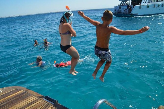 Dolphin Tour in Hurghada - Itinerary Breakdown