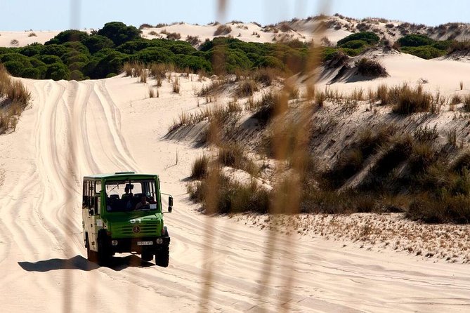 Donana National Park Horse or 4x4 Riding Day Trip - Flexible Travel Options: Horse or 4x4
