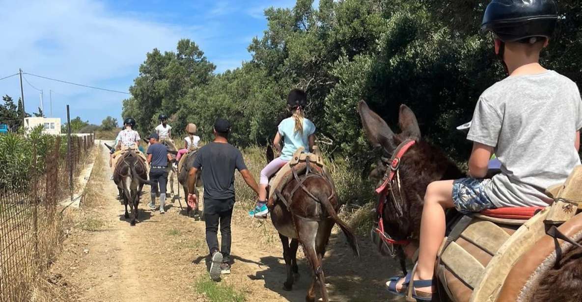 Donkey Riding - Brief & Easy Ride - Rider Experience