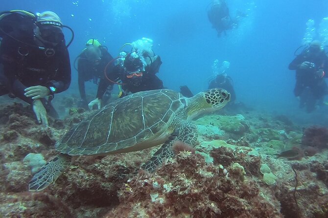 Double Diving in Sal Island - Half Day - Additional Information