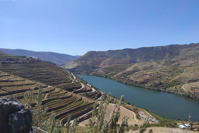 Douro Valley Amazing Wine Tours - Flexible Meeting and Pickup Options