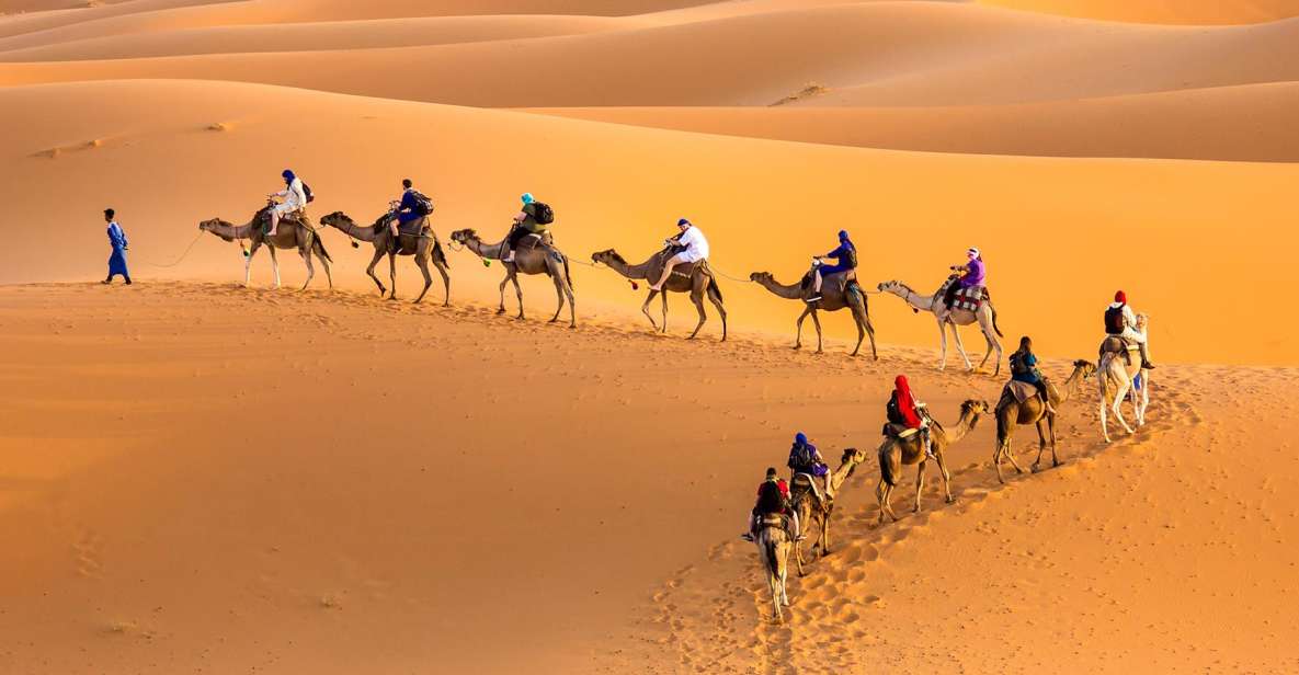 Douz 2-Day Sahara Desert Camel Trek - Itinerary Details