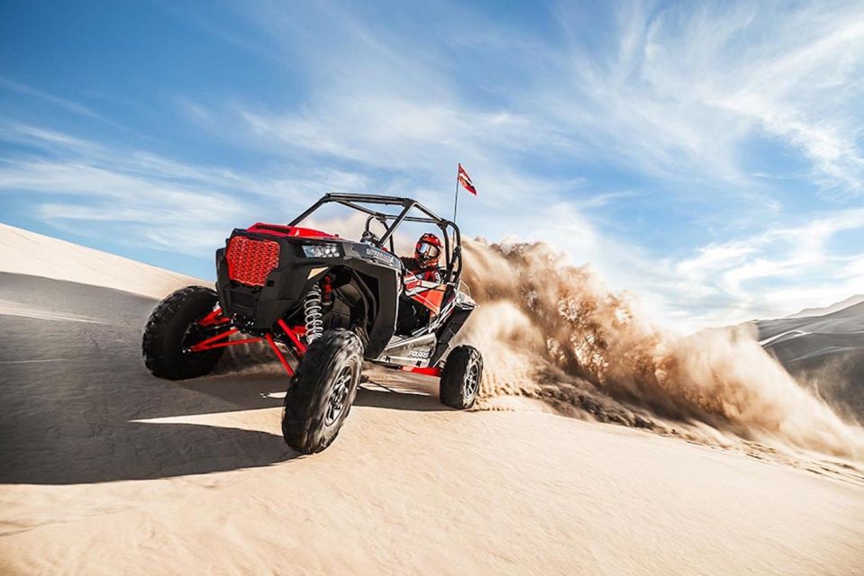 Douz: Half-Day Sahara Desert Buggy Adventure - Thrilling Polaris Buggy Ride