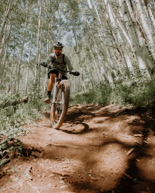 Downhill Mountain Biking in Kitulgala - Experience Highlights