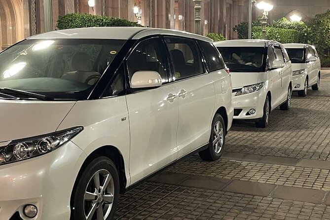Dubai: Hire a Private Car or Mini Bus for a Halfday in Dubai - Accessibility and Participation