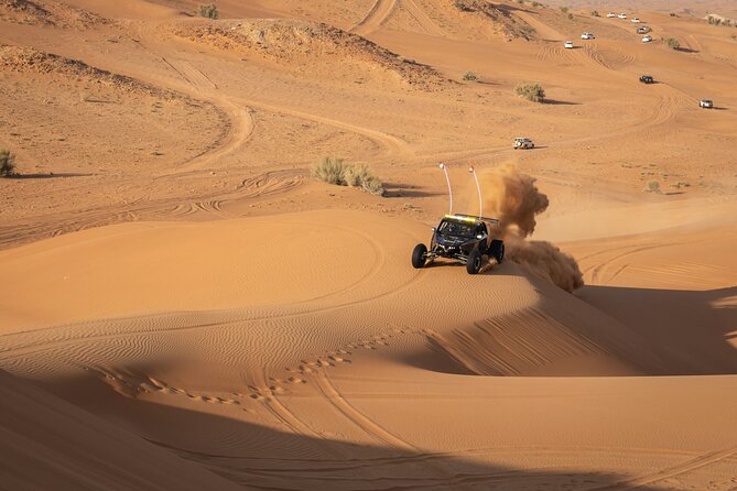 Dubai Long Self-Drive Quadbike With Camel and Falcon - Customer Experience and Feedback