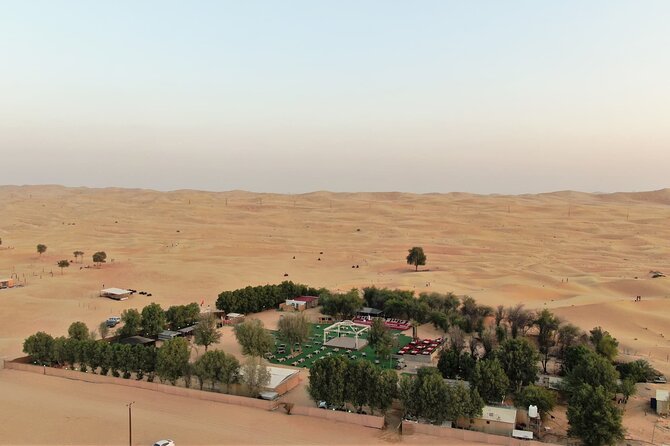 Dubai: Red Dunes Desert Safari, Camel Ride, Shows & BBQ Dinner - Customer Feedback Insights