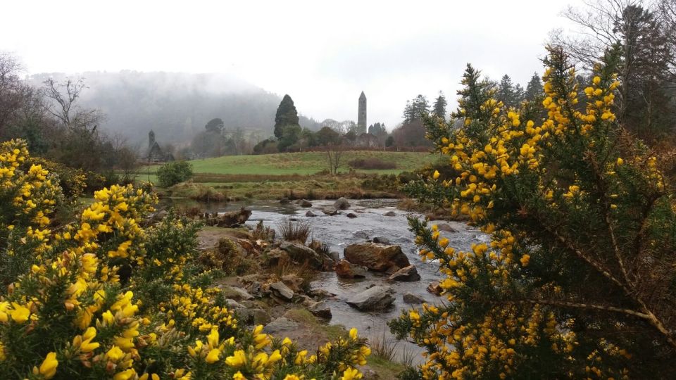 Dublin: Full-Day Wicklow Mountains Tour W/ Glendalough Visit - Experience and Activities