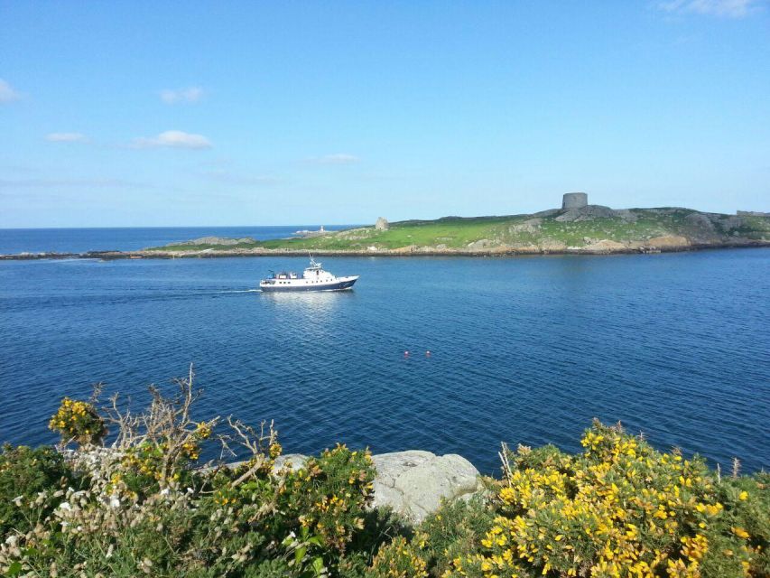 Dublin: Howth Cliffs and Irelands Eye Boat Cruise - Customer Experiences