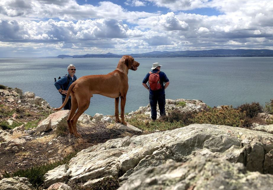 Dublin: Howth Coastal Hiking Tour - Tour Itinerary