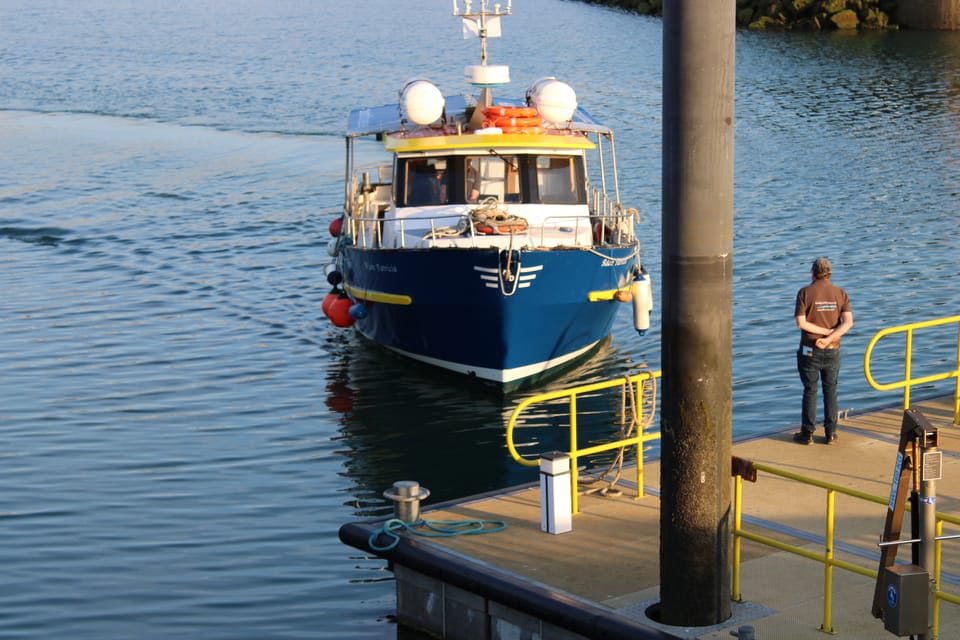 Dublin: Howth Lighthouse and Cliffs Boat Tour - Meeting Point Details