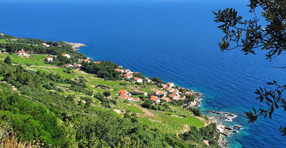 Dubrovnik Private Wine Tasting Tour To Peljesac - Wine Country Experience