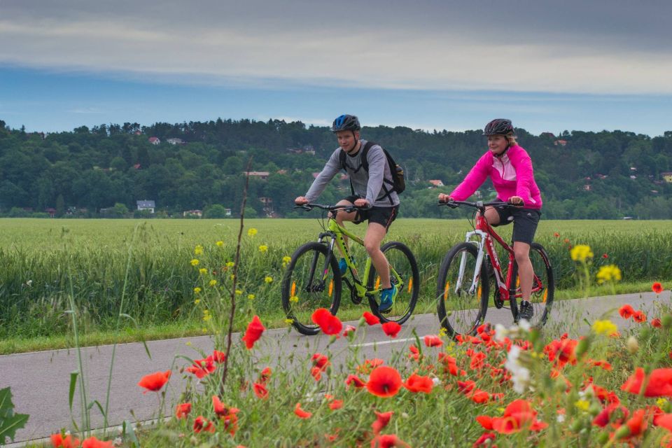 E-Bike Day Trip: Visit a Roman Castle and Taste Craft Beer - Scenic Cycling Route