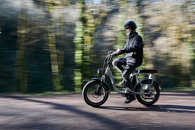 E-Bike Rental - 3 Hour Along the Shoreline Bike Path - Customer Reviews and Experiences