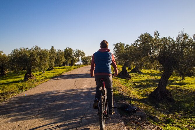 E-Bike Rental Sierra De Las Nieves (Alozaina). Free GPS Tracks and App Included. - Meeting Point and Pickup Details