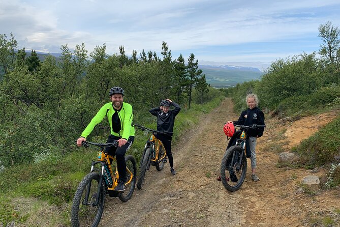E-bike Tour Ullarfoss - Scenic Highlights