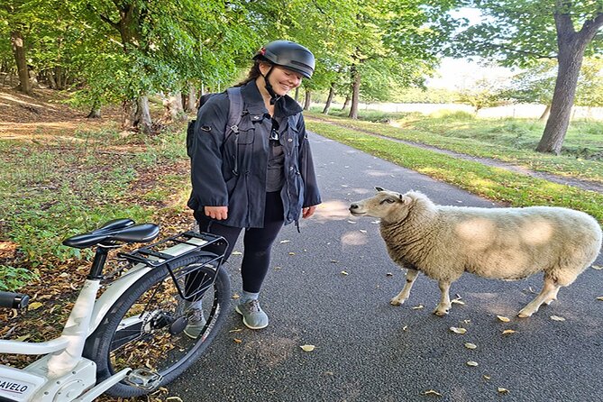 E-Biking Northern Forgotten Giants S Adventure - Health and Safety