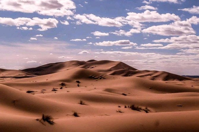✅ Camel Ride and Overnight in Sahara Desert Camp - Meeting and Pickup Information