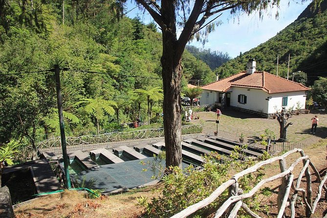 East Tour - Santana - Scenic Wonders and Photo Ops