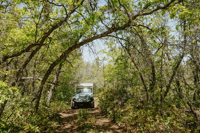 East Zion Brushy Cove Jeep Tour - Whats Included in the Tour