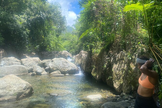 El Yunque Rainforest Morning River and Hike Adventure - Customer Testimonials