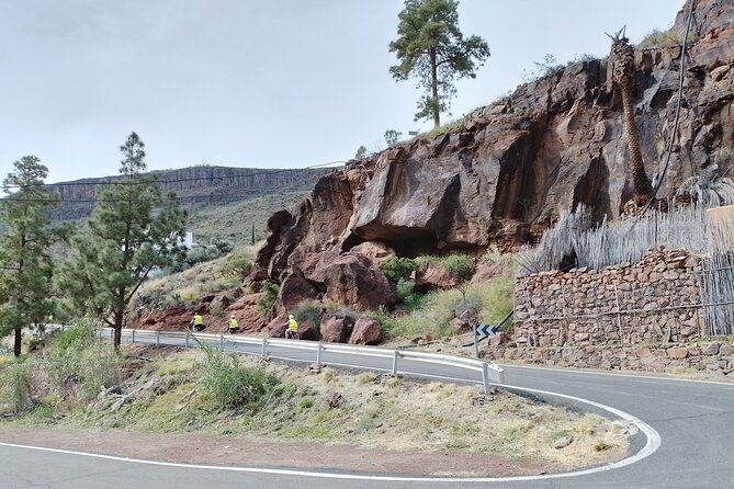 Electric Bike Mountain Tour Optional Tapas in an Aboriginal Cave - Customer Reviews and Ratings